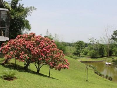Landmark Woods Hotel Kaziranga Ngoại thất bức ảnh