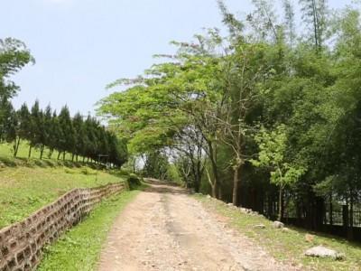 Landmark Woods Hotel Kaziranga Ngoại thất bức ảnh
